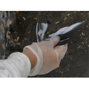 Манопокс Тикс (Manopox TX)