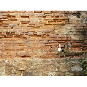 Маноцем Лайм (Manocem Lime)