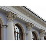 Маногард 160 (Manoguard 160)