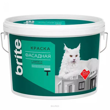 Краска для фасадов с защитой от загрязнения на основе тефлона Брайт, база С (0,9 л) Краска для фасадов с защитой от загрязнения на основе тефлона Брайт, база С (0,9 л)