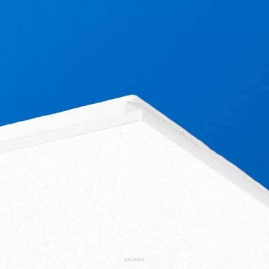 Панель Focus Ds (1200х600х20 мм) Панель Focus Ds (1200х600х20 мм)